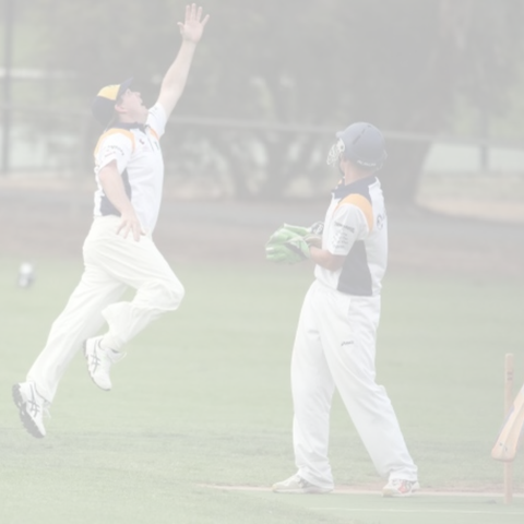 The All Rounder